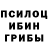 Псилоцибиновые грибы мухоморы ShoppingKartRacer