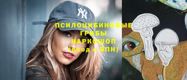 мяу мяу кристалл Корсаков