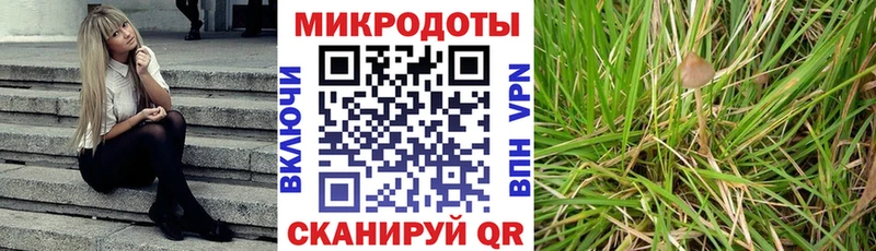 Псилоцибиновые грибы ЛСД  купить  сайты  маркетплейс клад  Малоярославец 